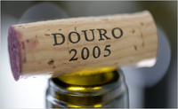 Douro: Harbor in an Economic Tempest