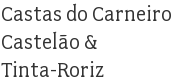 Castas do Carneiro Castelão & Tinta-Roriz